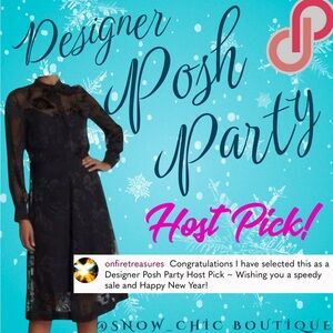 Rag and Bone Tallulah Dress NWT Women’s Size 10 Sheer MIDI Dress Mandarin Collar